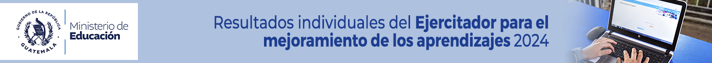 Cintillo resultados 2024